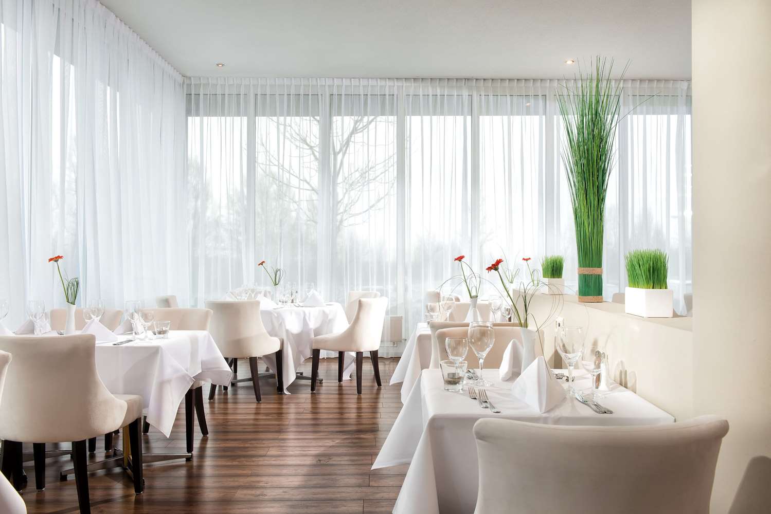 Wyndham Garden Wismar 9/19