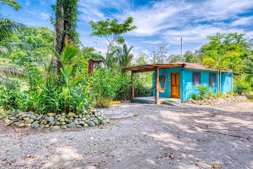 Hotel Banana Azul - Adults Only 74/81