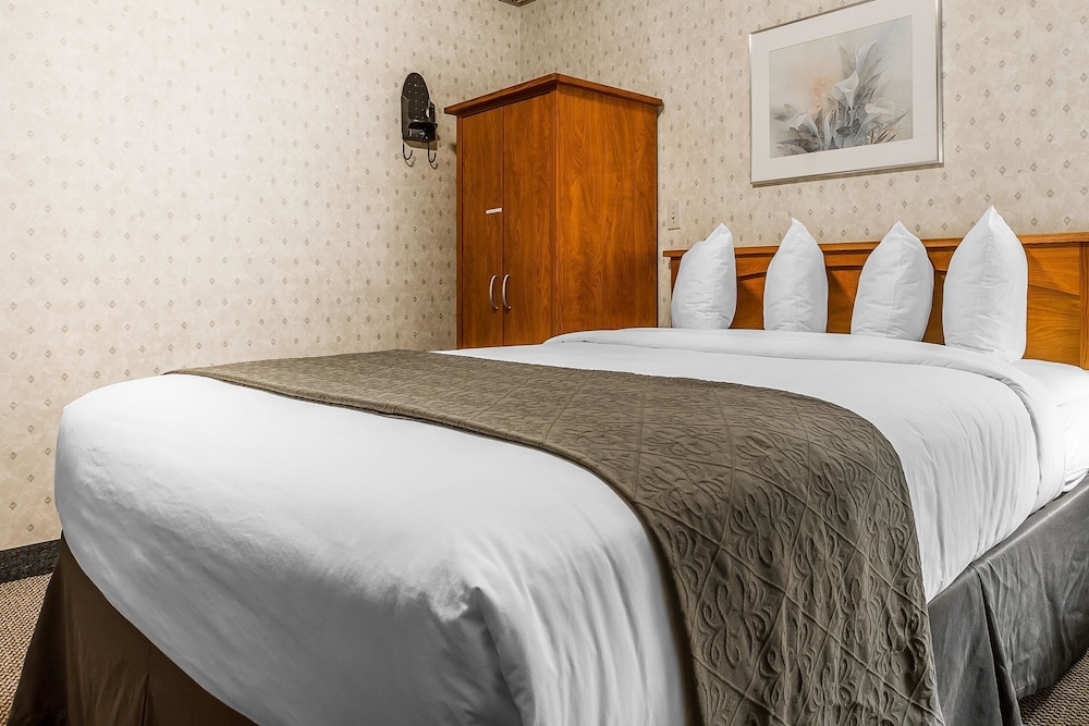 Quality Inn And Suites Silicone Valley 16/41