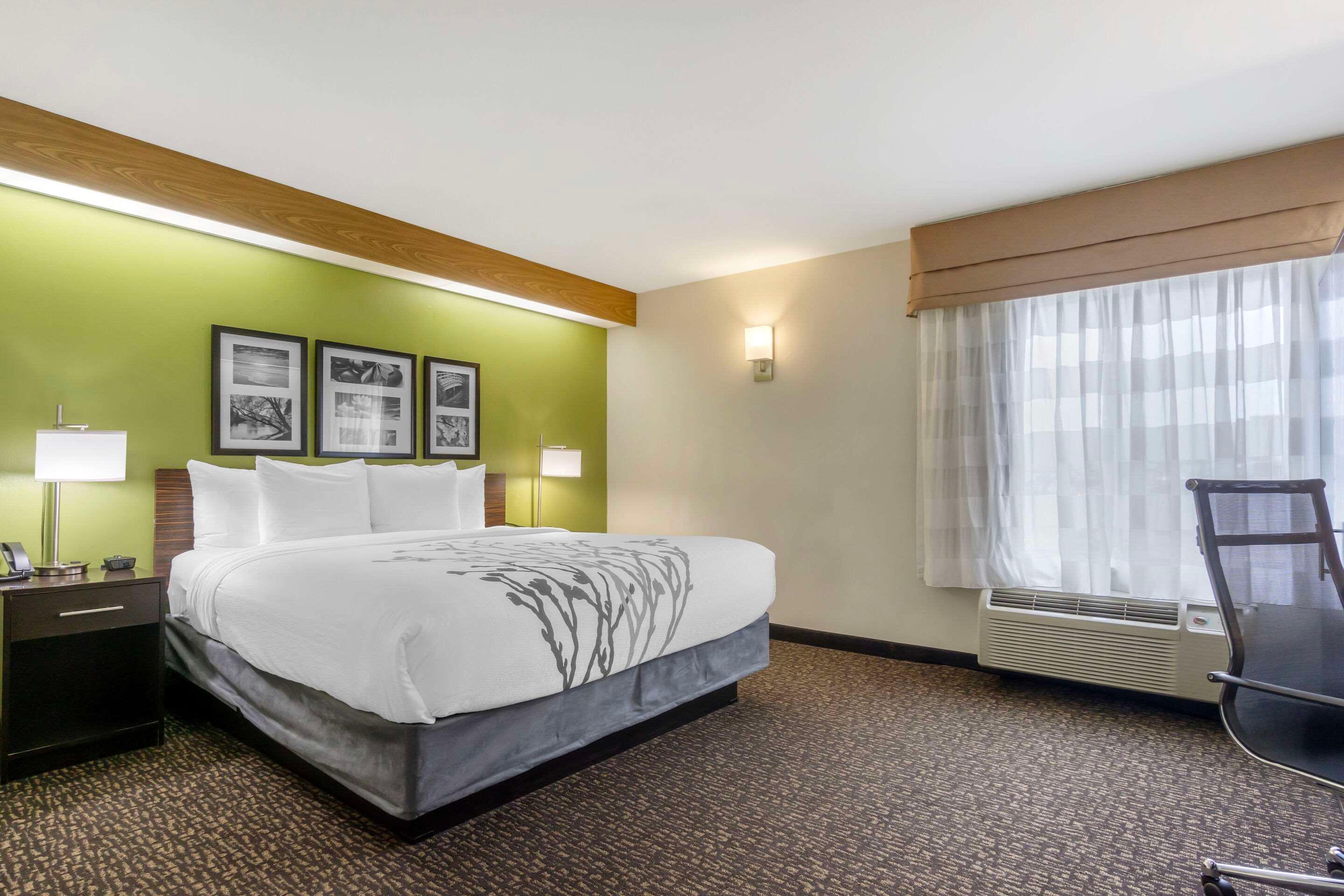Upgrade, King Bed, Accessible