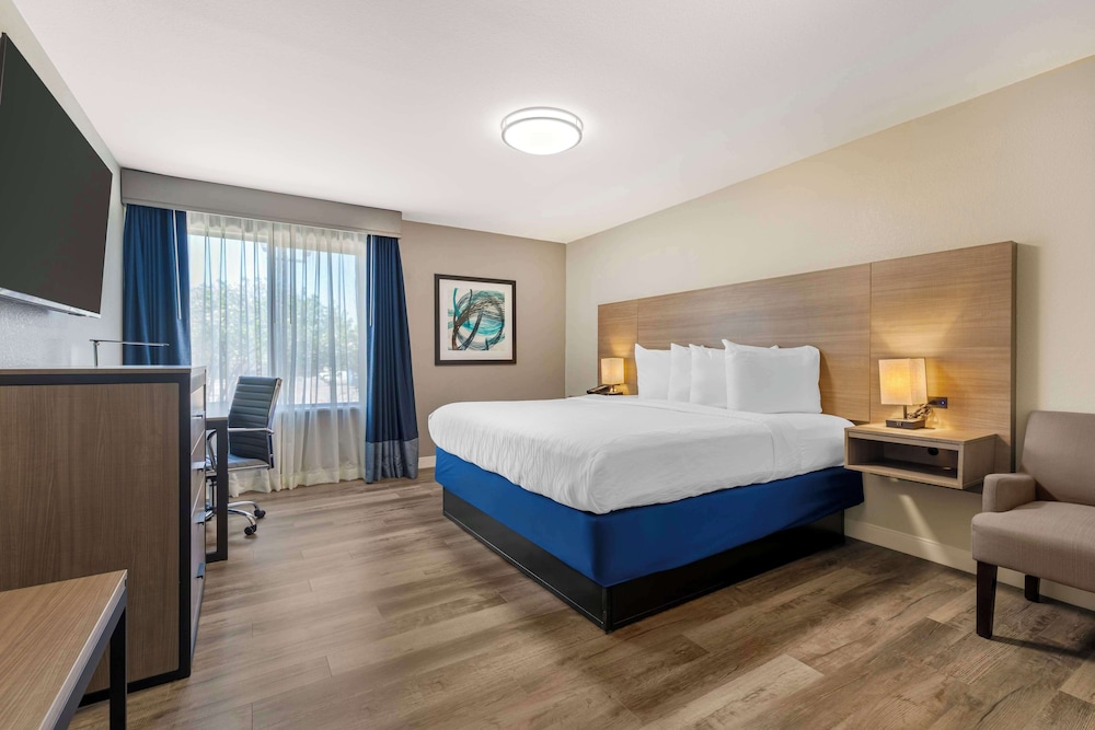 Suite, 1 King and 2 Queen Beds, Kitchen