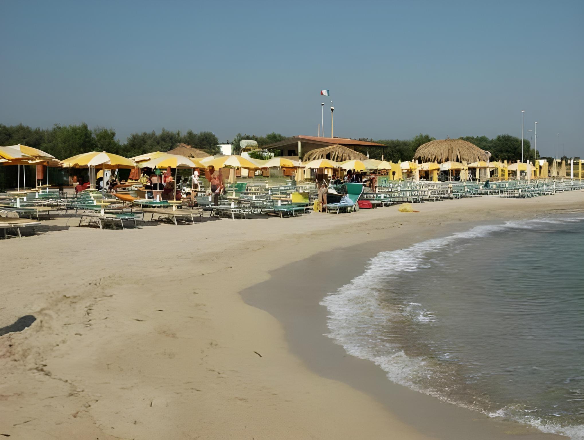 Il Timone 20/21