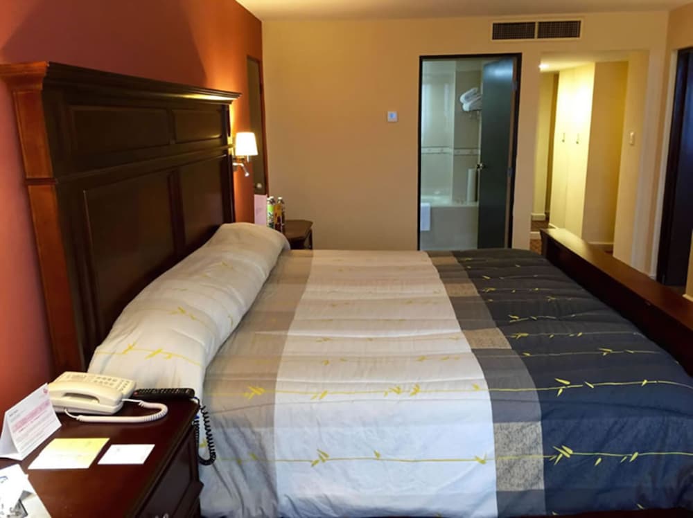Hotel Real Plaza 19/69