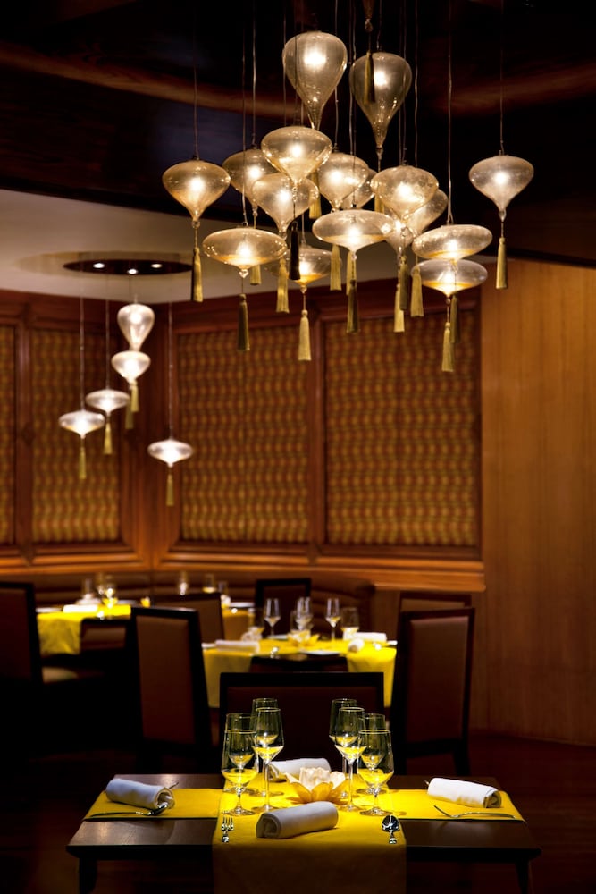 Radisson Blu Plaza Hotel Delhi Airport 61/76