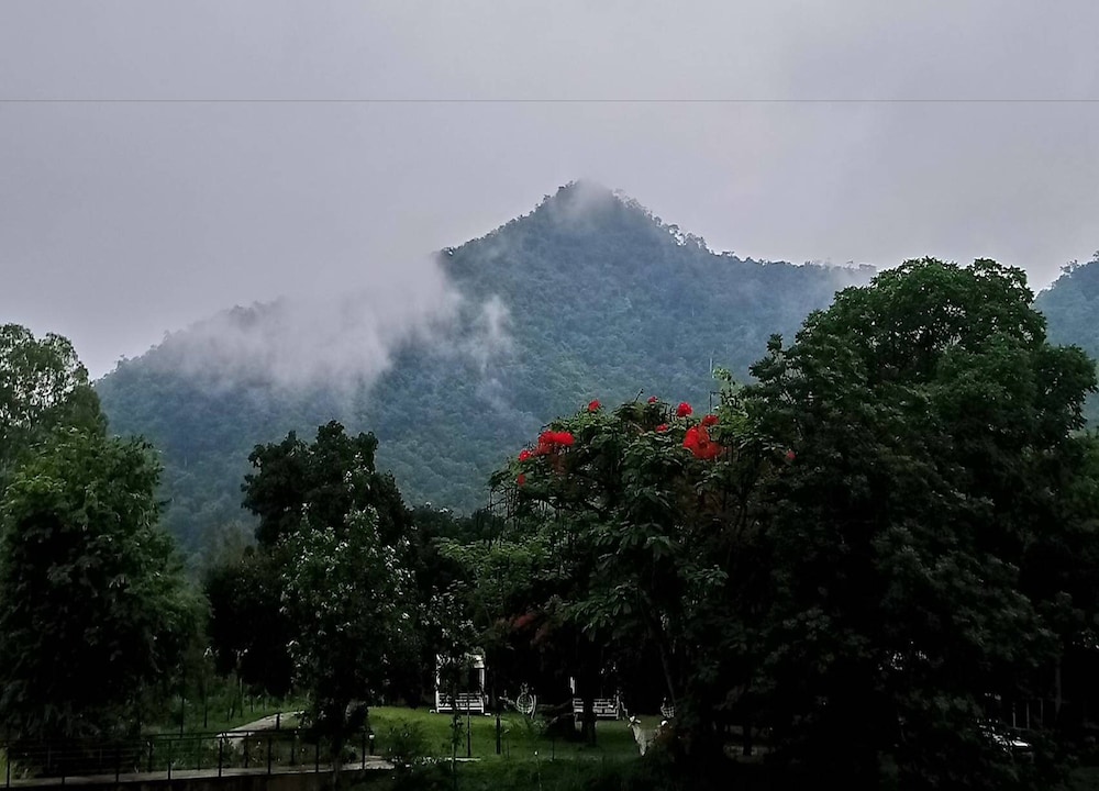 The Piano Resort Khao Yai 45/50