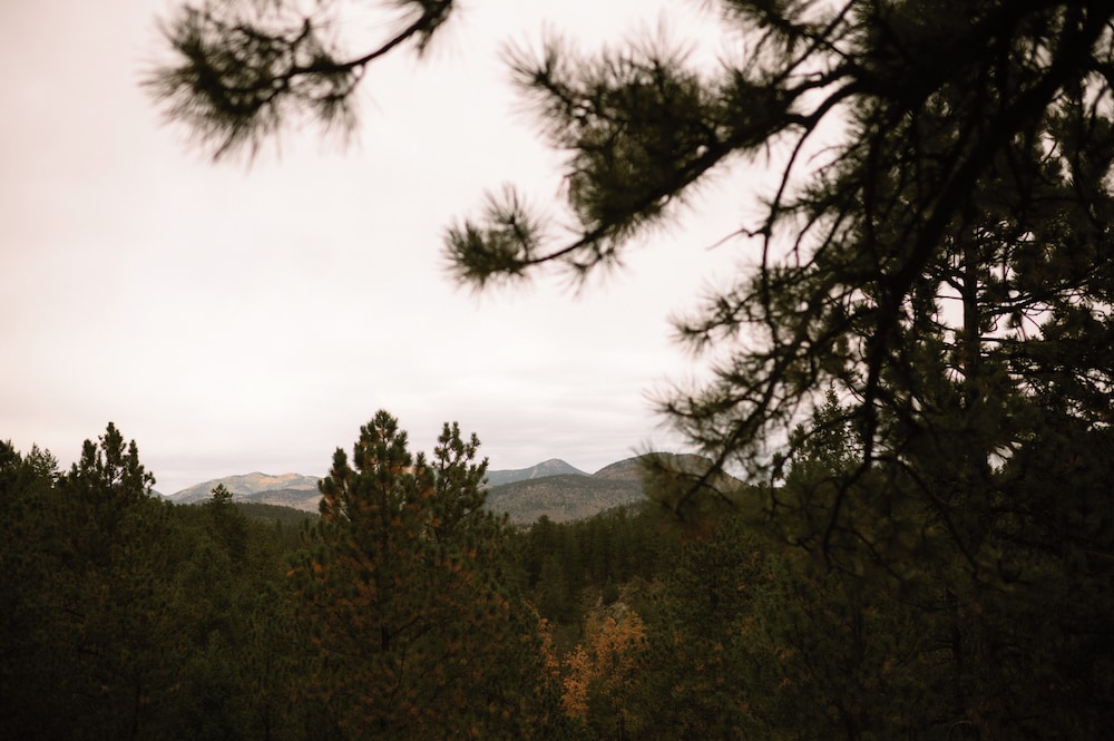 Juniper Mountain House 45/50
