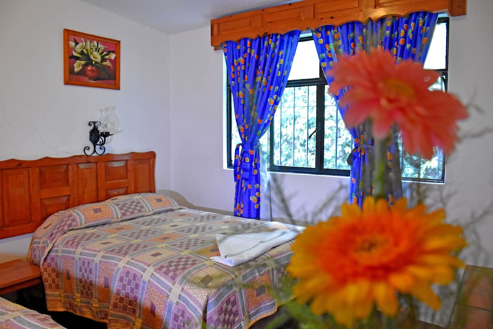 Hotel San Luis 16/55