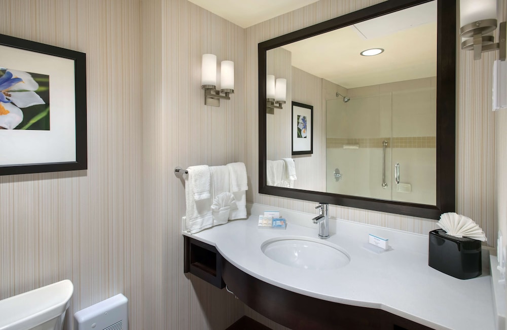 Hilton Garden Inn Chicago Downtown Riverwalk 14/43