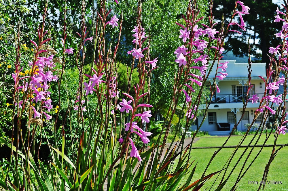 Tsitsikamma Village Inn 61/73