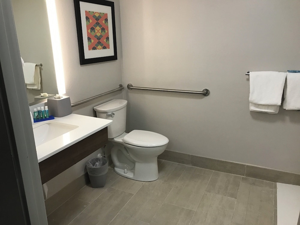 Holiday Inn Express Naples South I 75 64/67