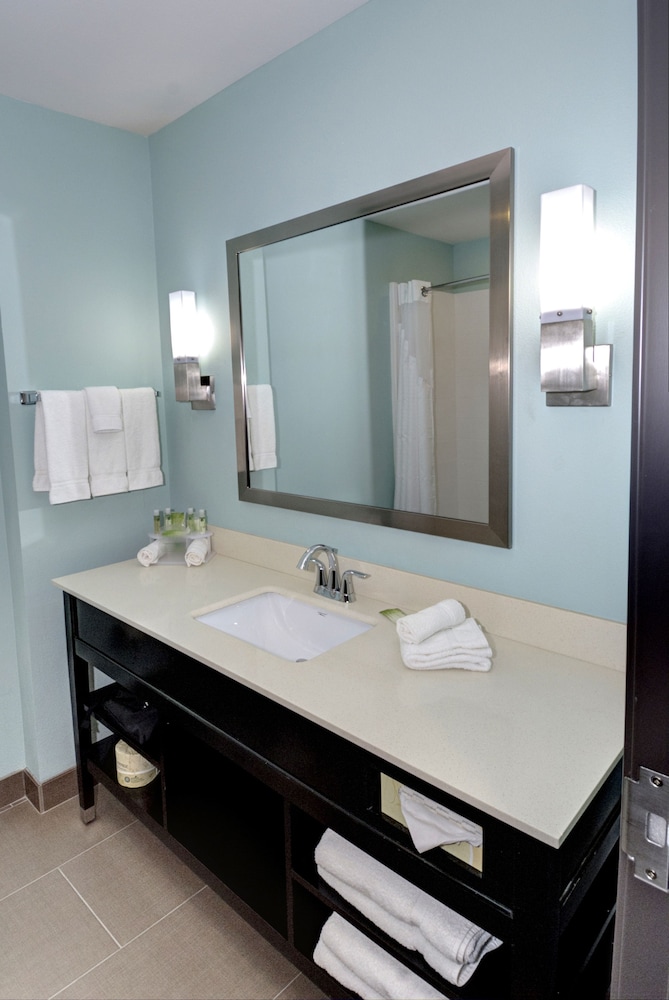 Holiday Inn Express And Suites Austin South 14/67
