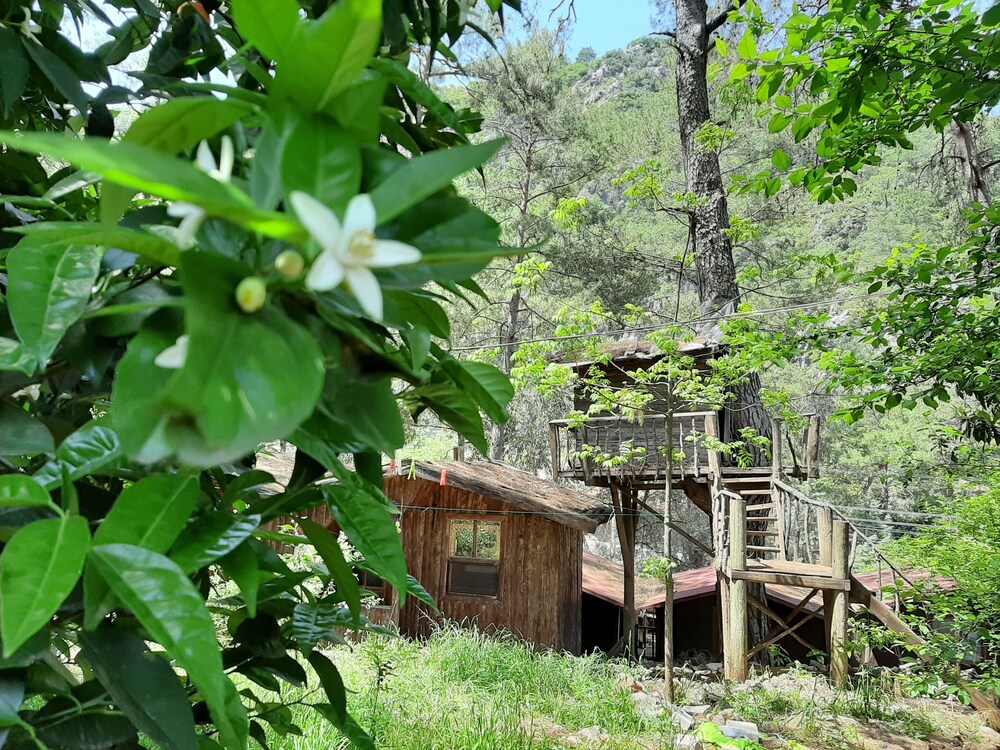 Altaris Bungalows Olympos 16/19