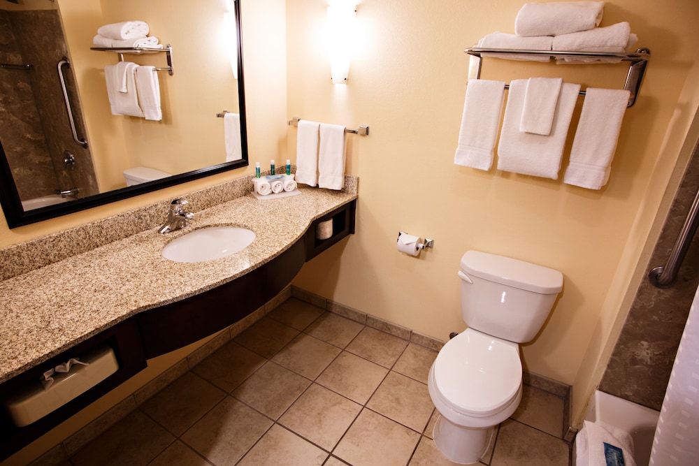 Holiday Inn Express & Suites Harrisburg W - Mechanicsburg 20/65