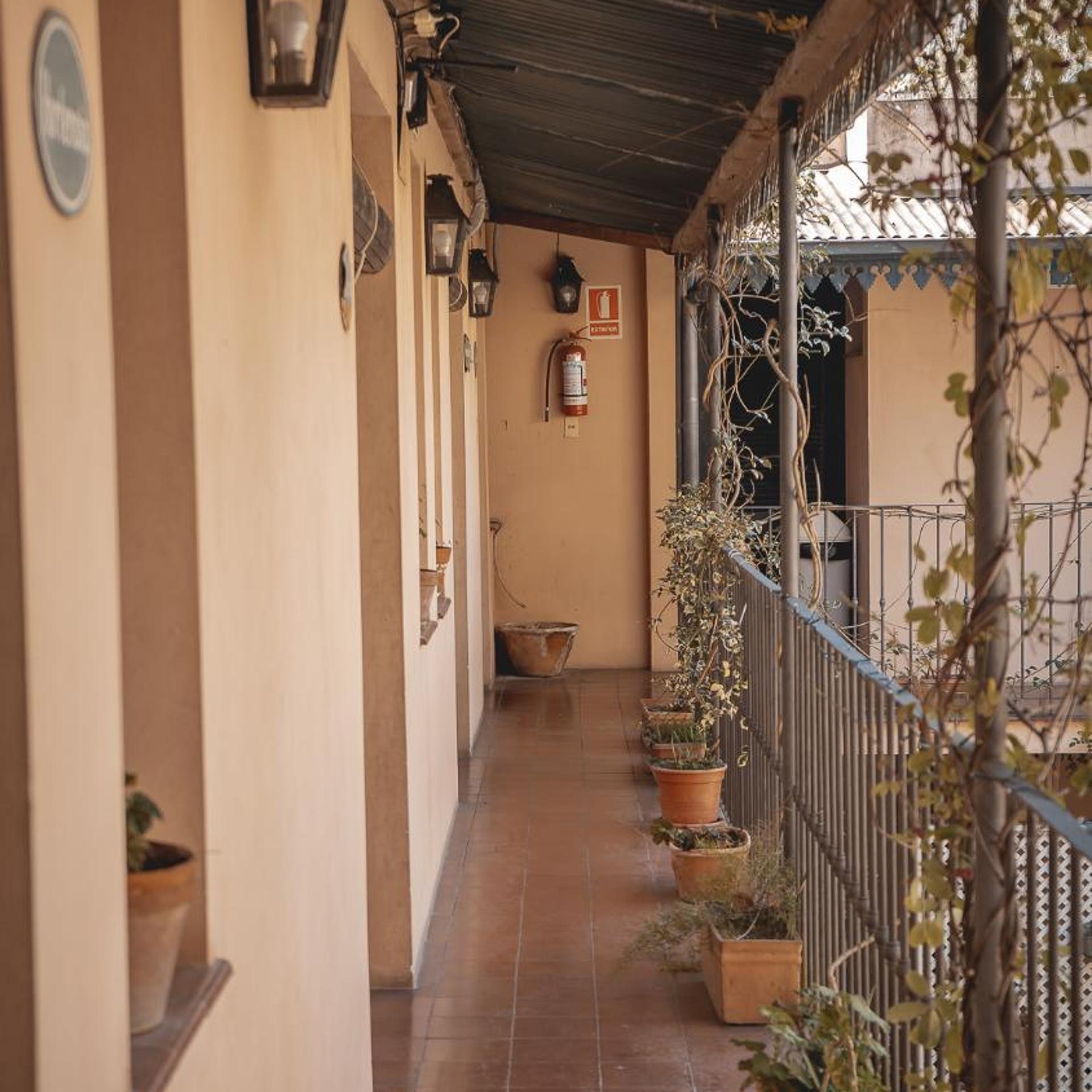 POSADA DE LA FLOR 50/50