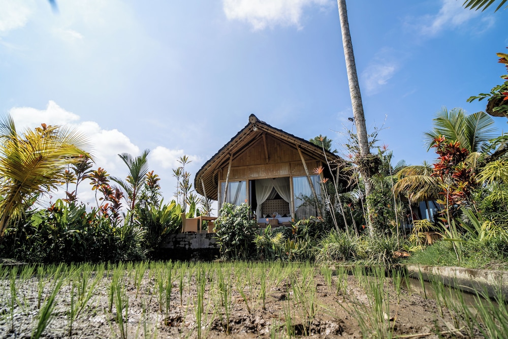 Padi Bali Eco Villas 22/27