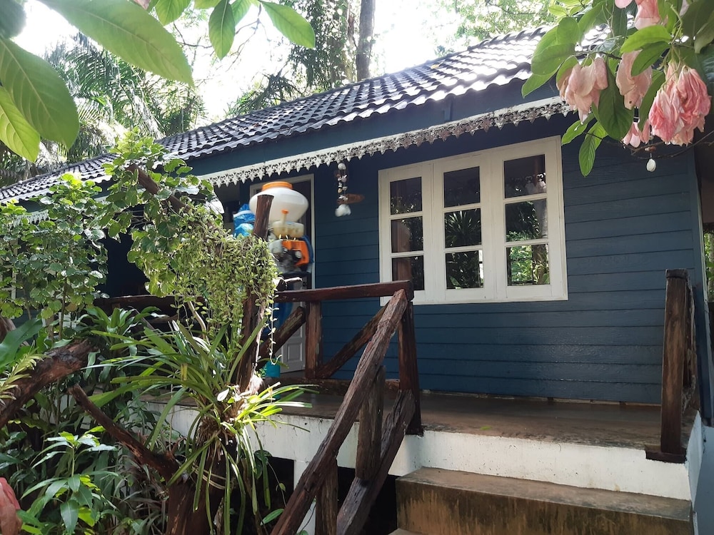 Jungle Bay Resort 6/42