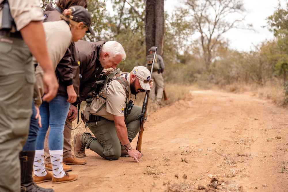 Kapama Buffalo Camp 29/37