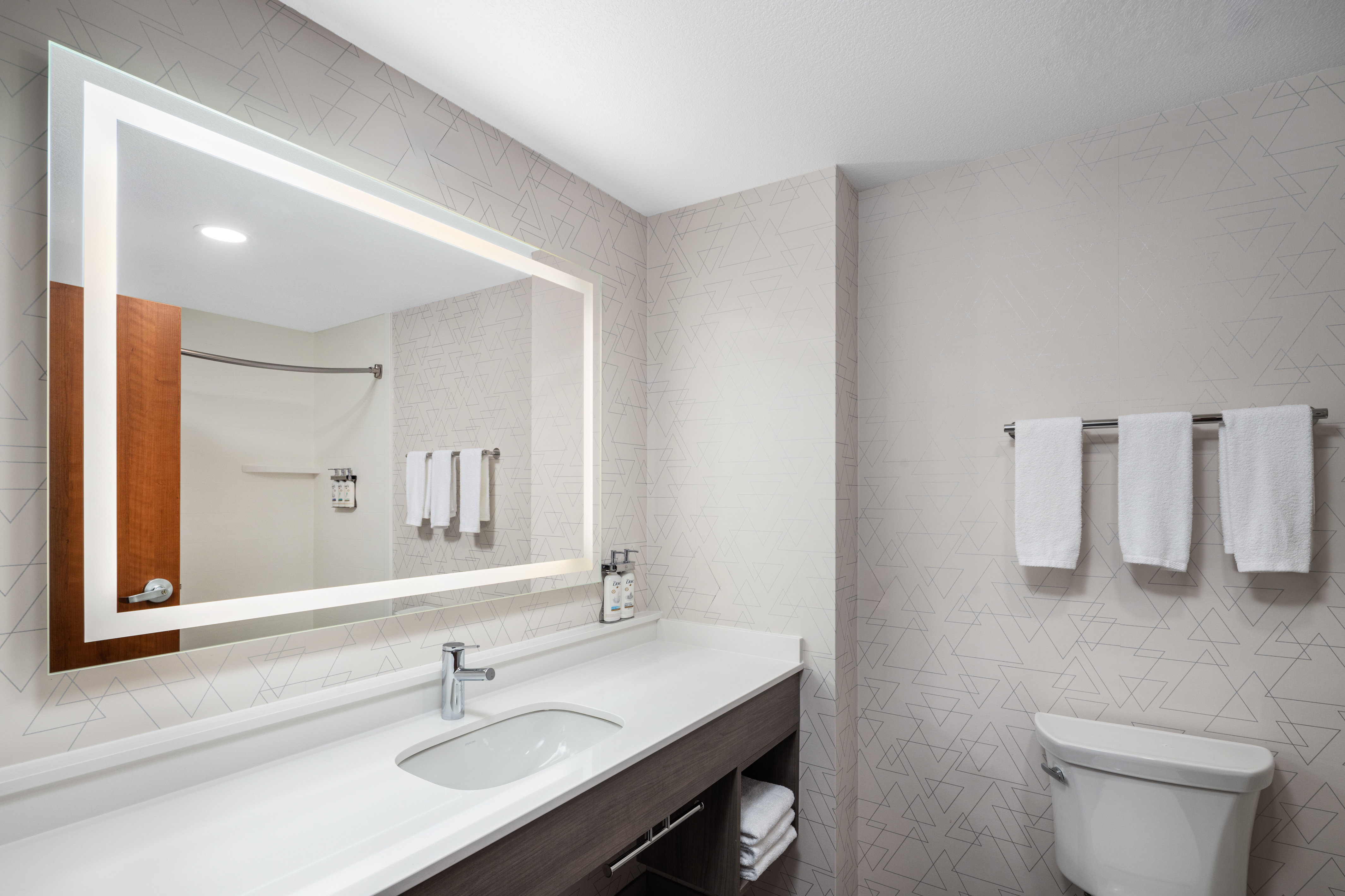 Holiday Inn Express & Suites Nampa - Idaho Center 76/78