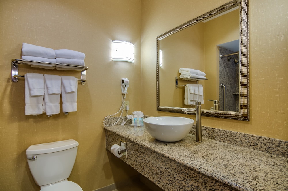 Comfort Suites Old Town Spring, TX 23/44
