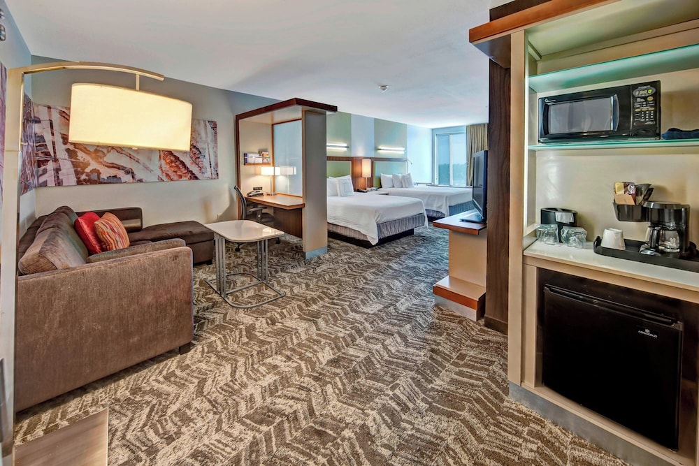 SpringHill Suites by Marriott Oklahoma City Moore 10/32