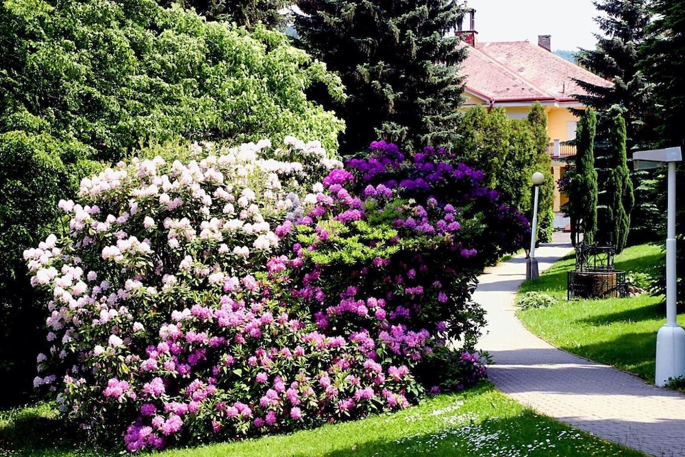 SPA RESORT LIBVERDA - VILLA FRIEDLAND 26/34