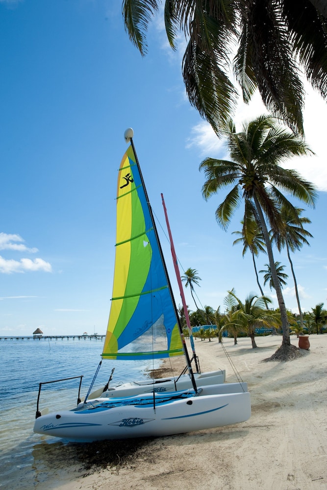 Las Terrazas Resort And Residences 39/77