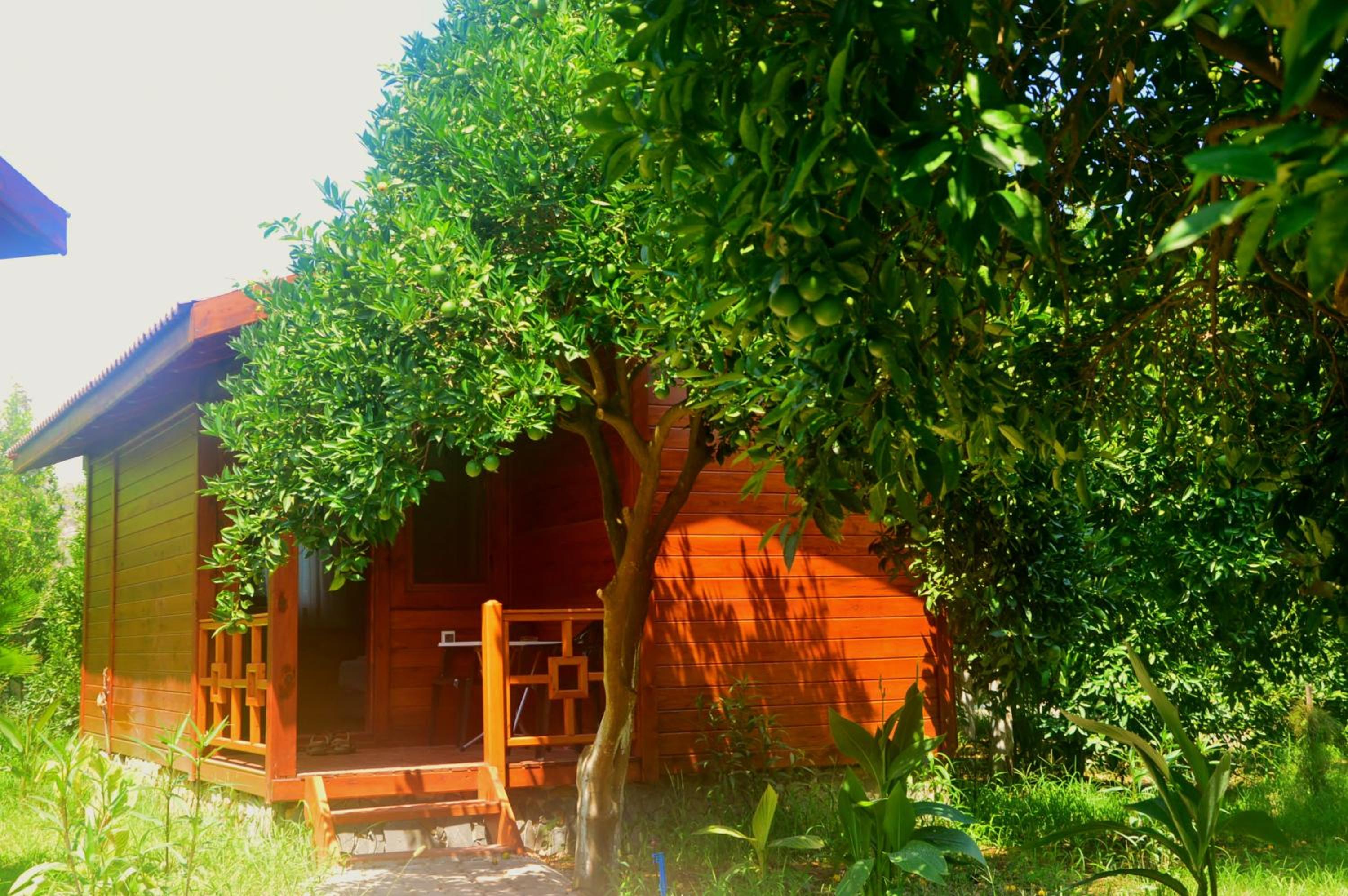 Safir Pansiyon 24/29
