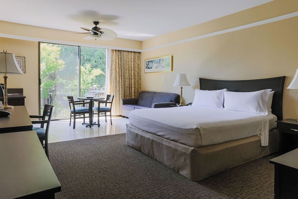 Premium, King Bed, Lagoon View