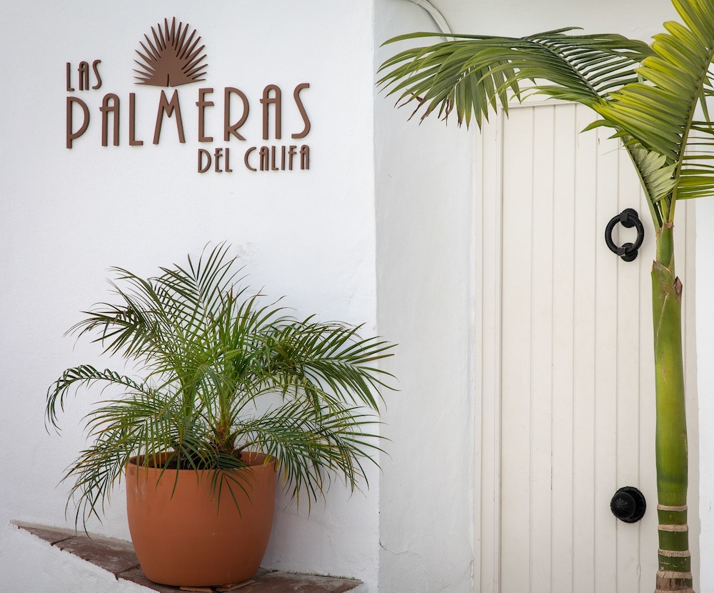 Las Palmeras Del Califa 24/47