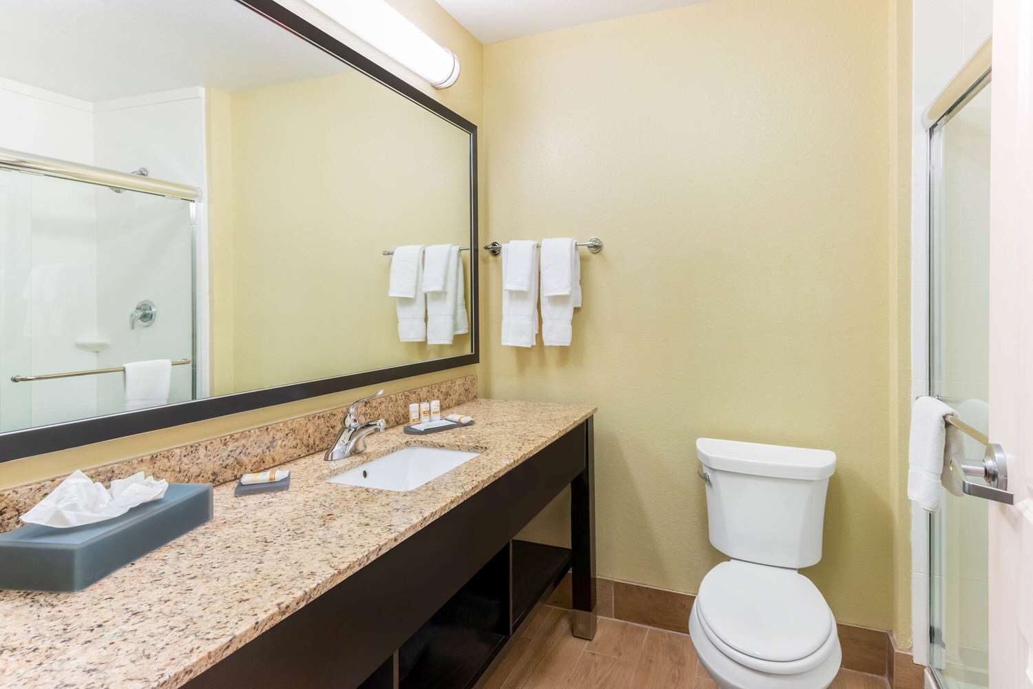 La Quinta Inn And Suites Carlsbad 56/59