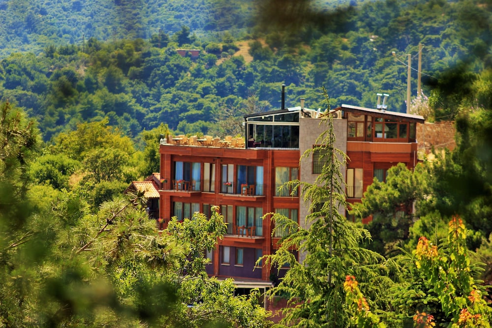 Assos Kayalar Terrace Boutique Hotel 6/50