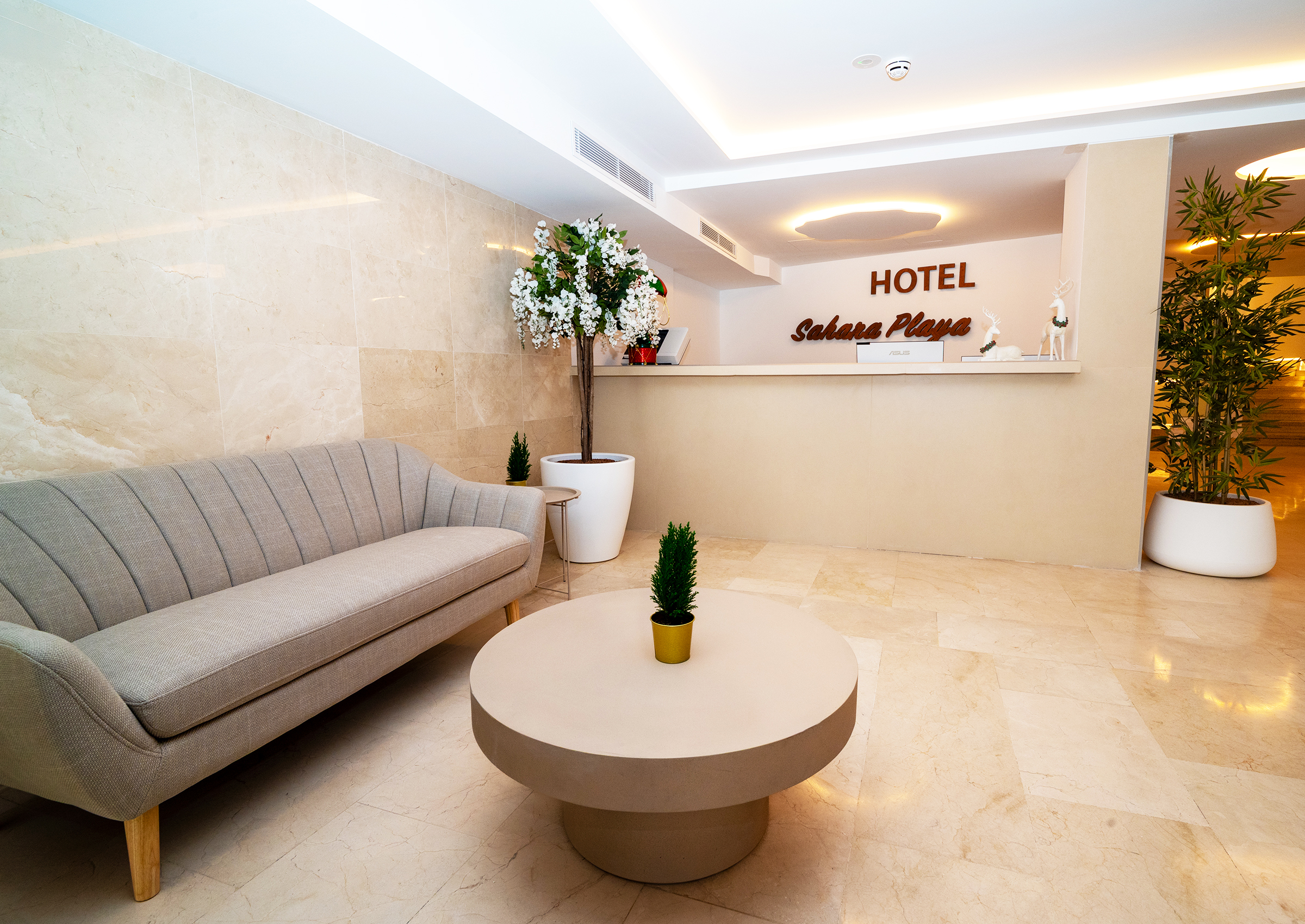 Sahara Playa Hotel 42/59