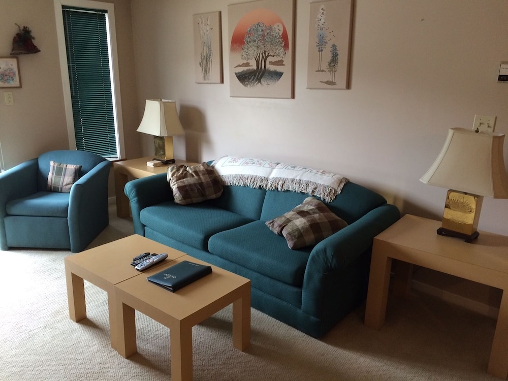 Okemo Mountain Lodging 25/42
