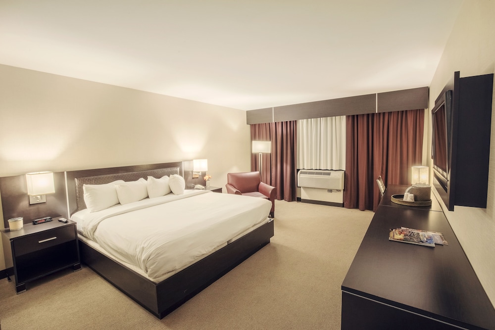 Casino Queen Hotel 13/50