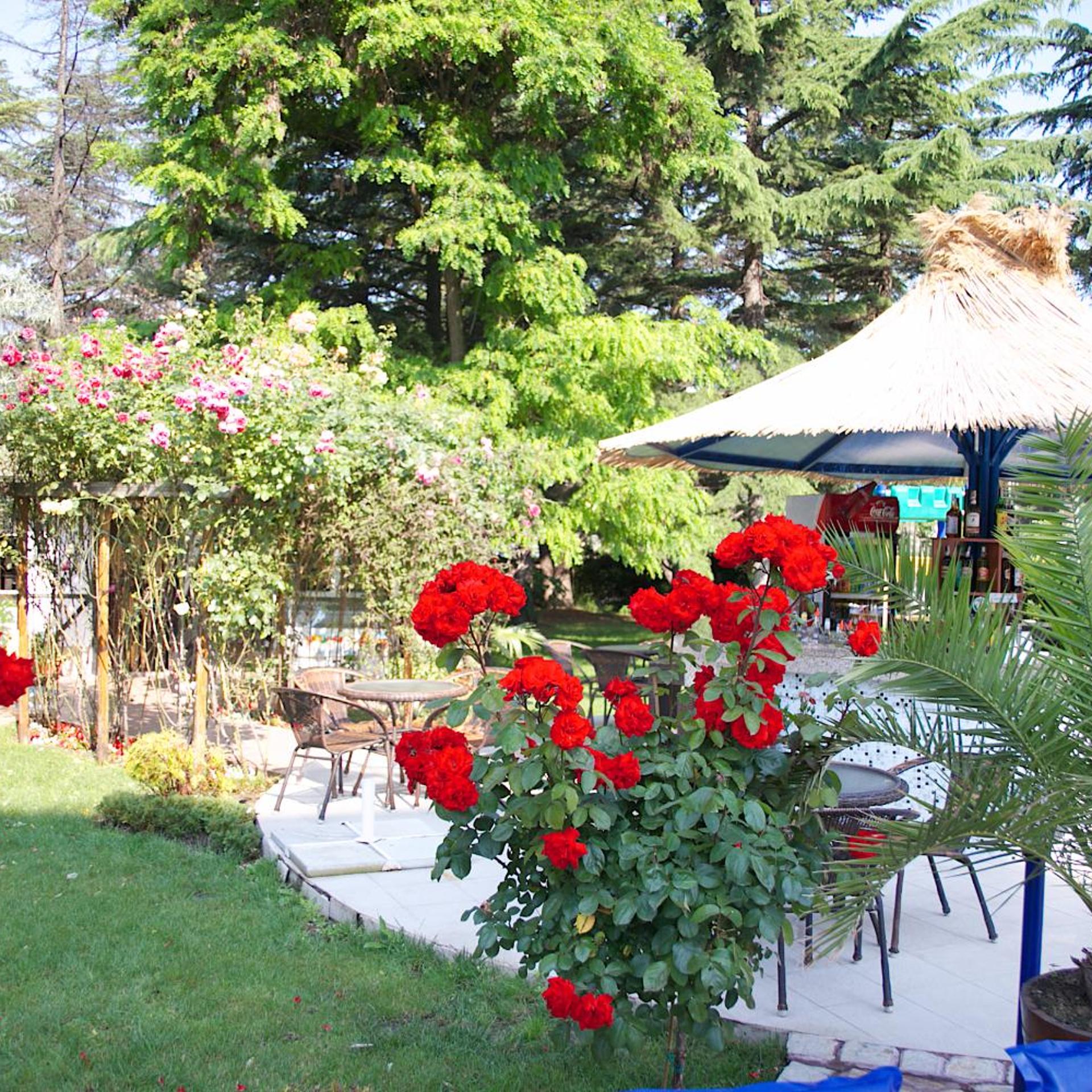 Hotel Dunav- All Inclusive 47/50