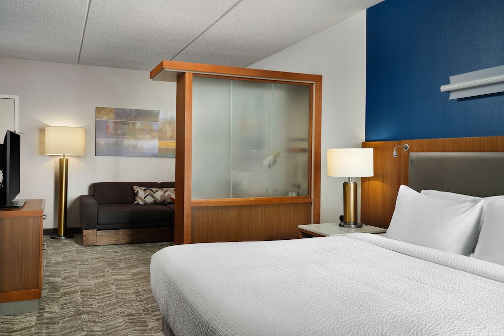 Springhill Suites By Marriott Pittsburgh Mt Lebanon 19/44