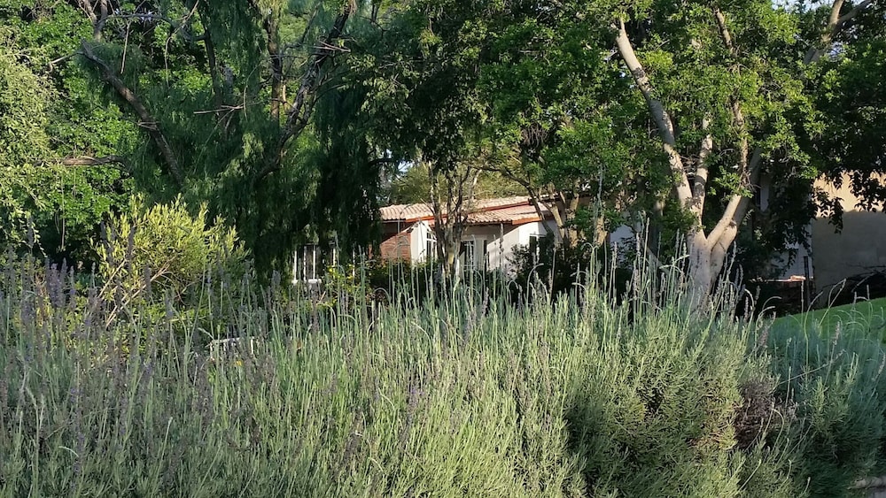 Amberhall Guesthouse 30/50