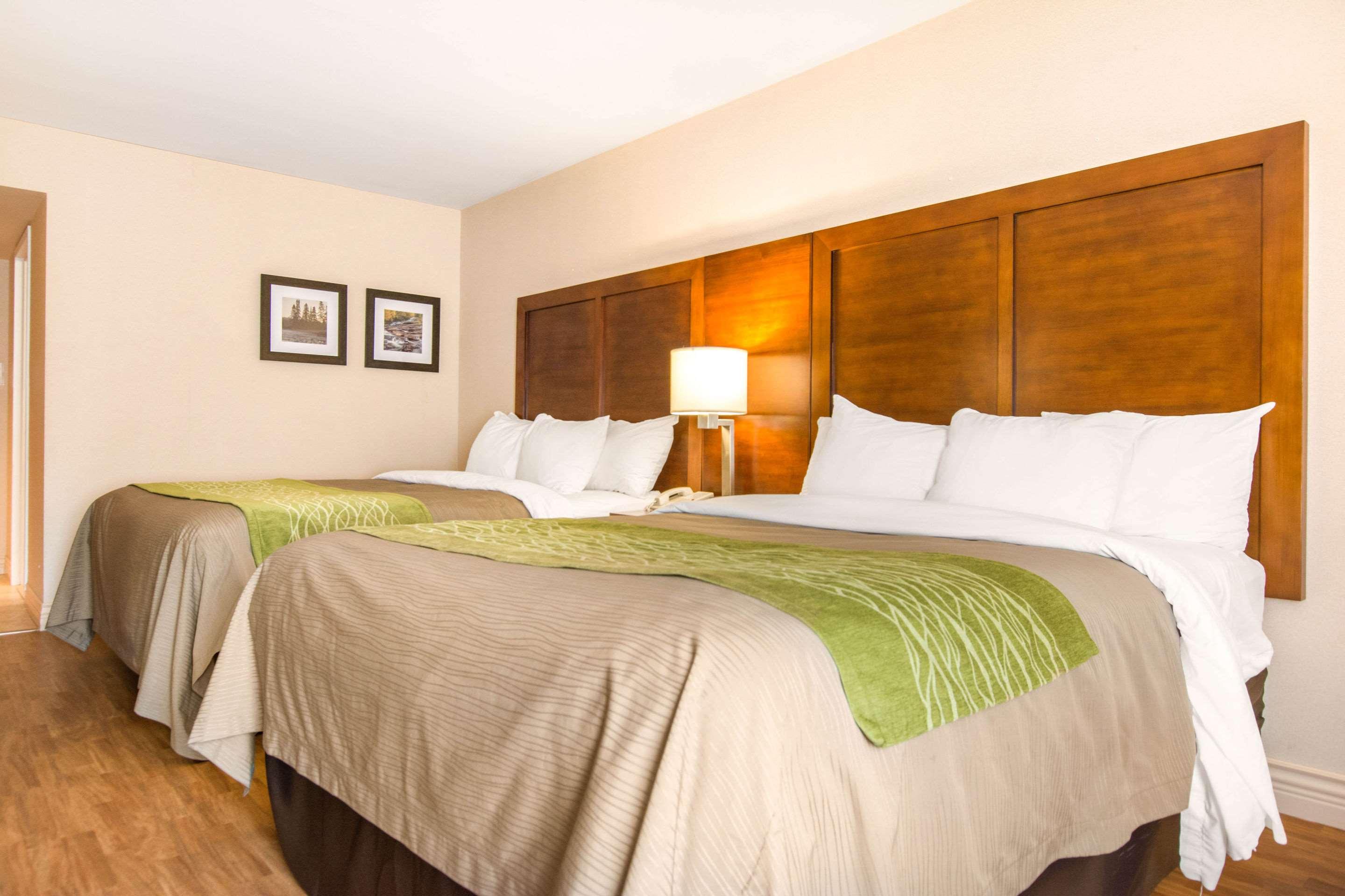Room, 2 Queen Beds