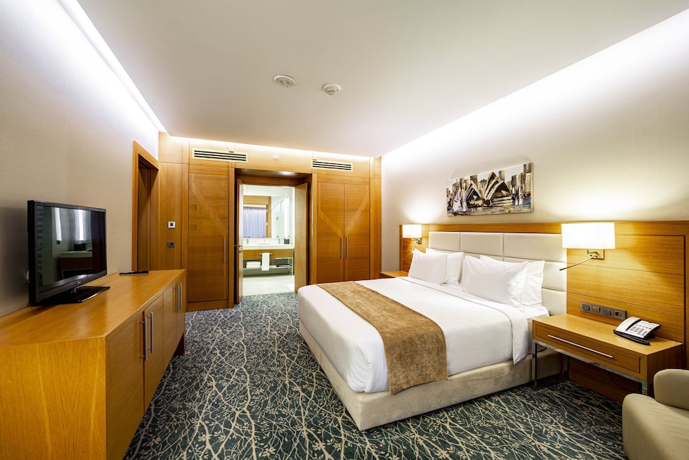 Holiday Inn Baku 13/59