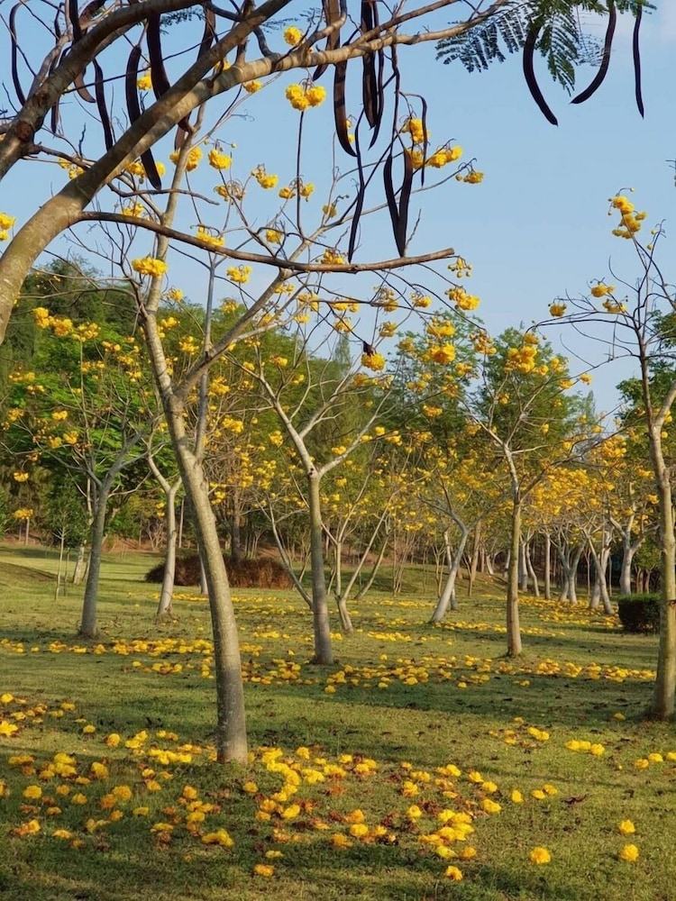 Suan Phueng Pa Wai Resort 31/50
