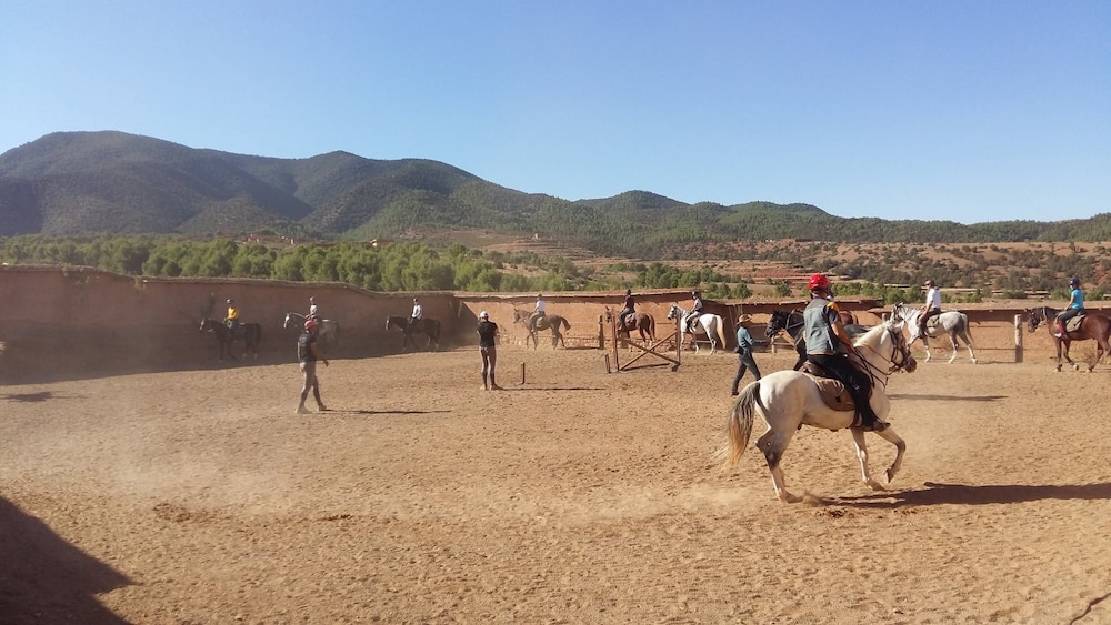 Terre D'Amanar 48/50