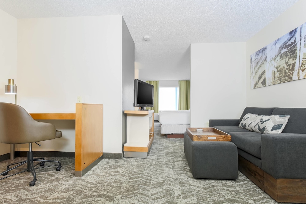 Springhill Suites By Marriott Houston Brookhollow 26/41