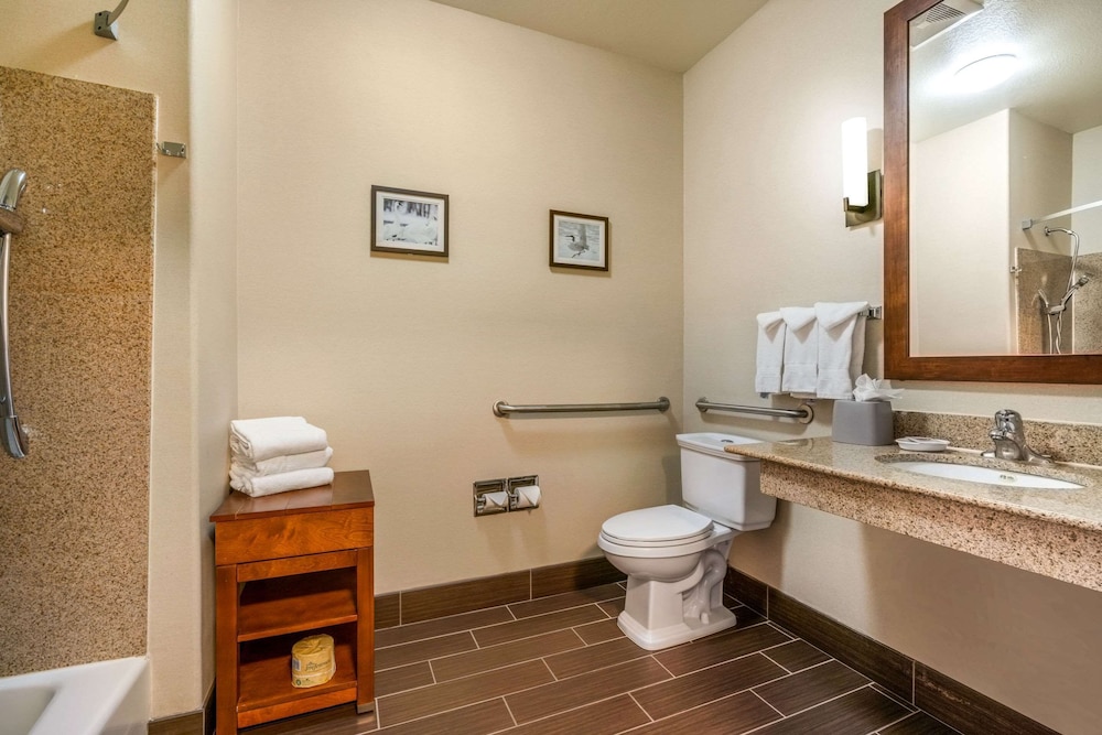 Comfort Inn & Suites Galt Lodi North 18/39