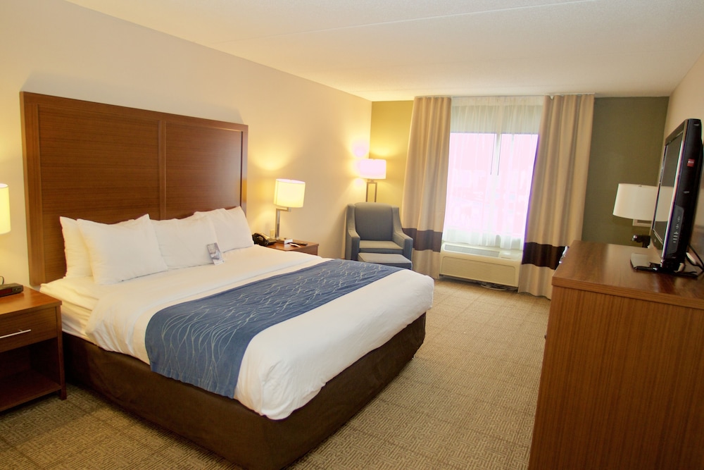 Comfort Inn Near Quantico Main Gate North 8/35