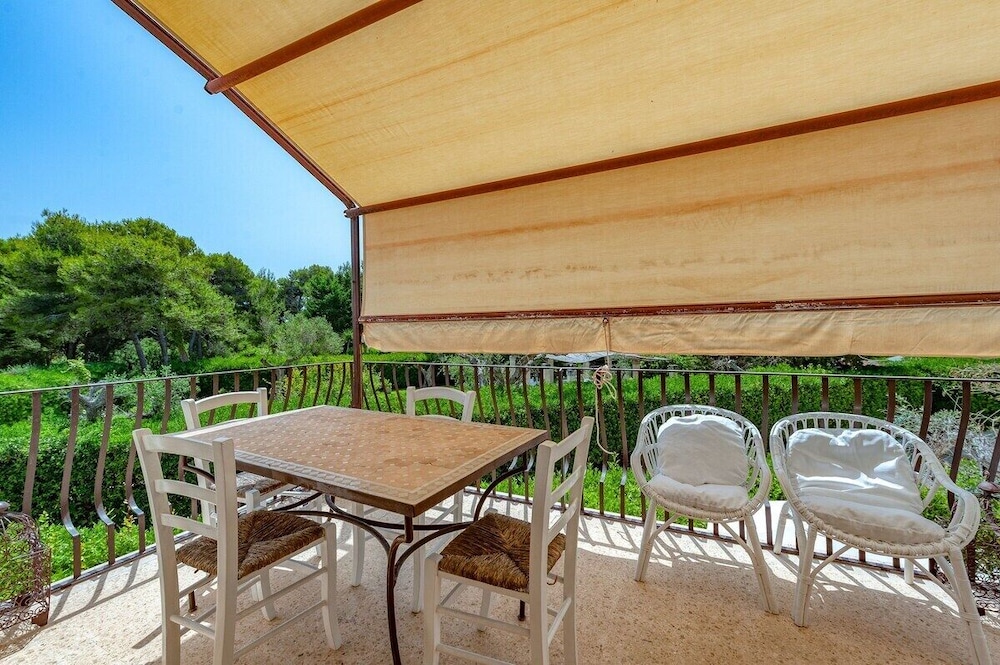 Tenuta Belvedere 37/50