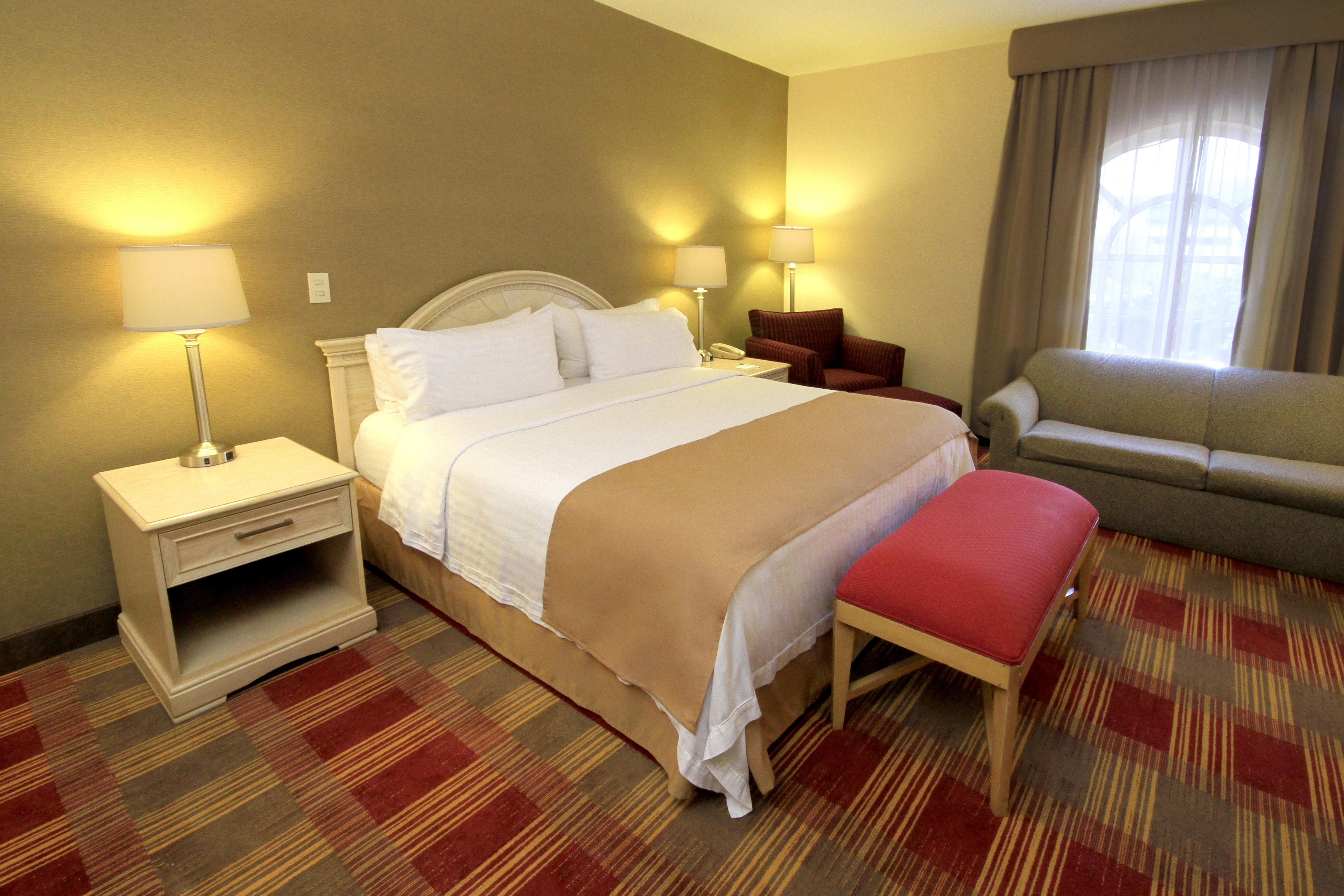Holiday Inn Monclova 19/50
