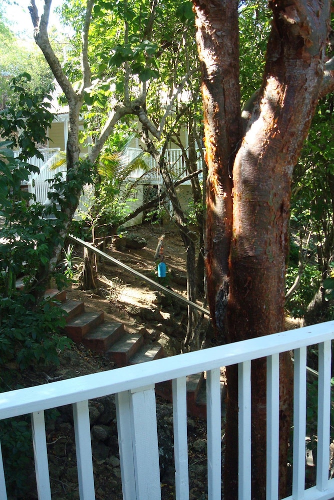 Galley Bay Cottages 43/50