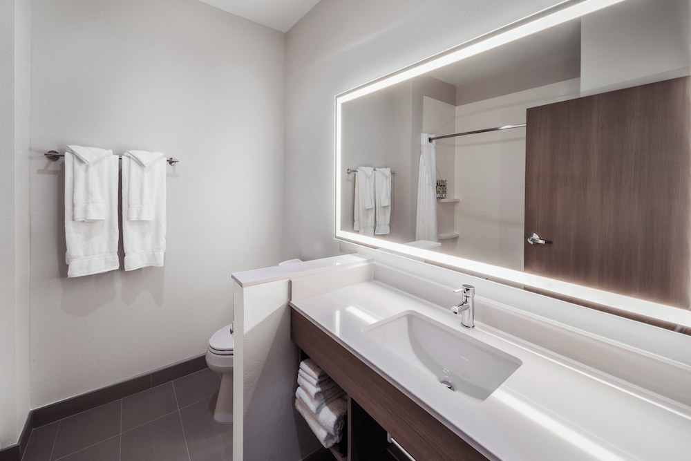 Holiday Inn Express & Suites - Houston SW - Rosenberg, an IHG Hotel 42/46