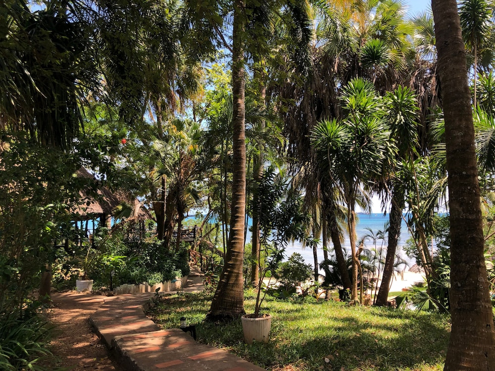 Jungle Paradise Beach Resort & Spa Mbweni Ruins 36/50
