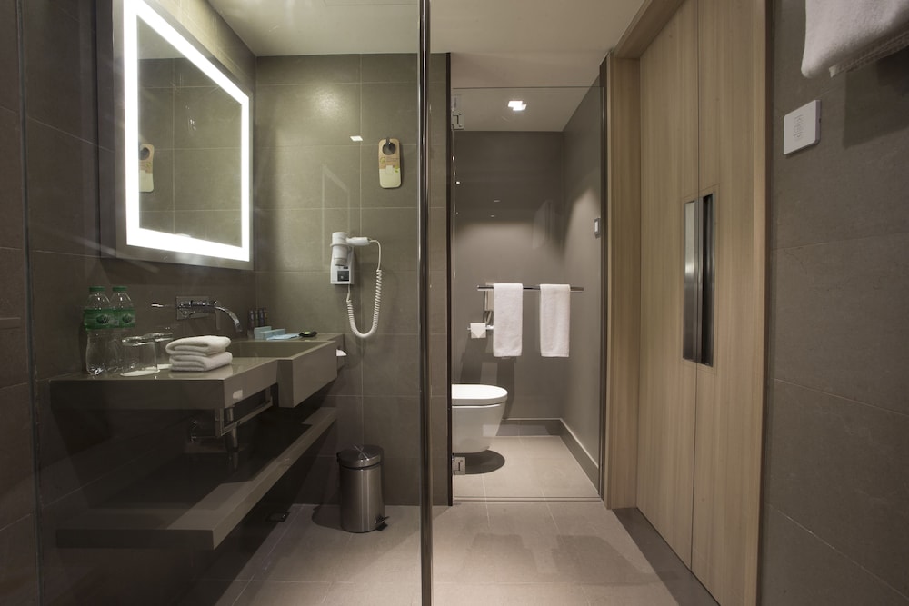 Hotel Novotel Manila Araneta Center 12/76